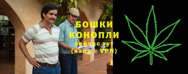 молекула духа Касимов