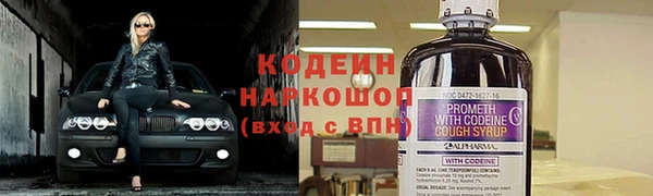 прущие грибы Карпинск