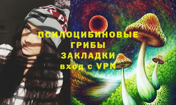 молекула духа Касимов