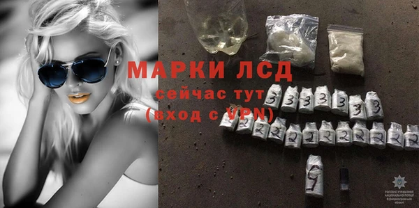 прущие грибы Карпинск