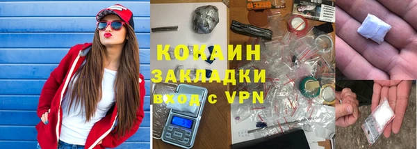прущие грибы Карпинск