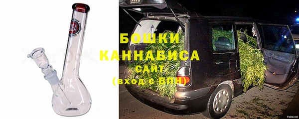 прущие грибы Карпинск