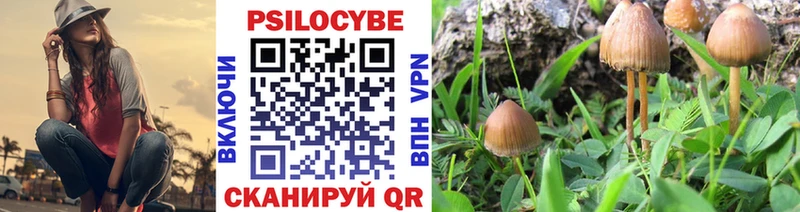Псилоцибиновые грибы мицелий  Купить  Валдай 